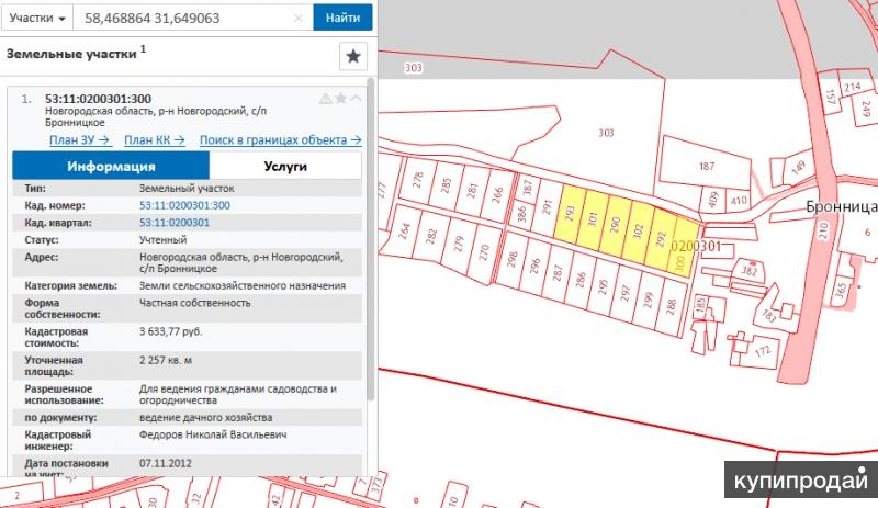 Бронница новгородская область карта