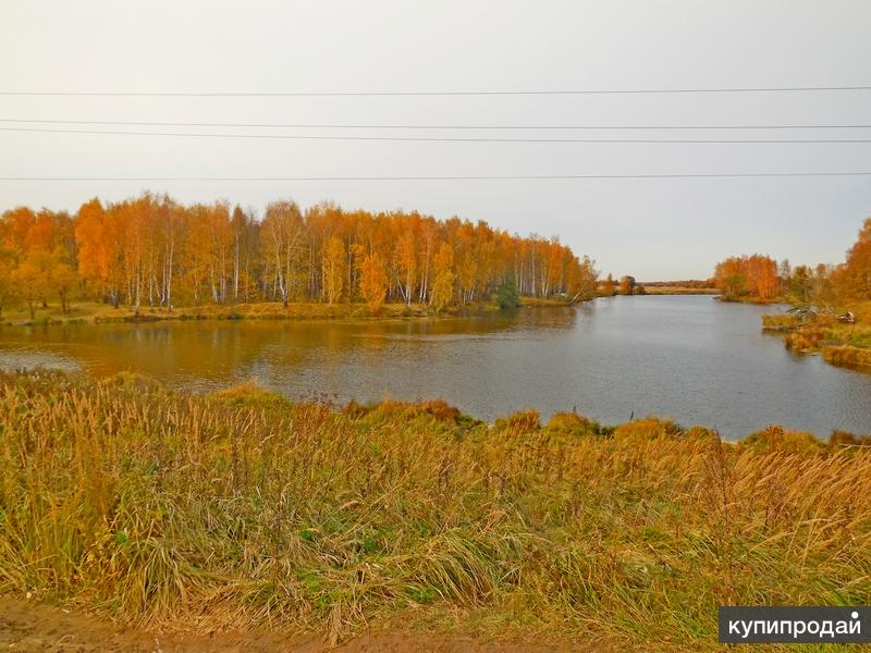 Деревня Ждановское Раменский район