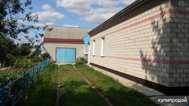 Авито славгород. Село Шумановка Алтайский край. Шумановка Алтайский край немецкий национальный. Село Шумановка Алтайский край немецкий район. Немецкая деревня Алтайский край Яровое.