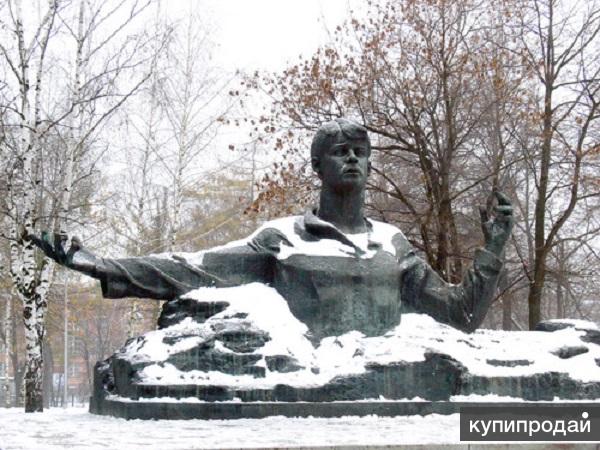 Сергей есенин рязань улица трубежная набережная фото Жаркий Новый год в Рязани, тур на 3 дня в Москве