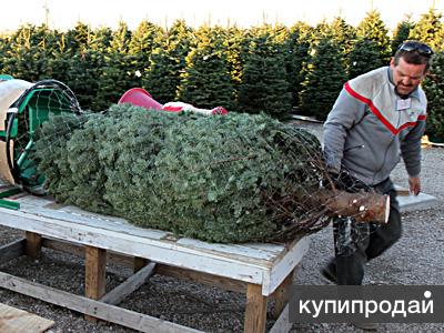 Тоннель-сетка для елки, раструб для упаковки ёлок, производство в Москве