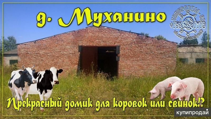 Сдам в аренду помещения 500 и 1000 кв.м. на зем.участке 3 Га (сельхозка)