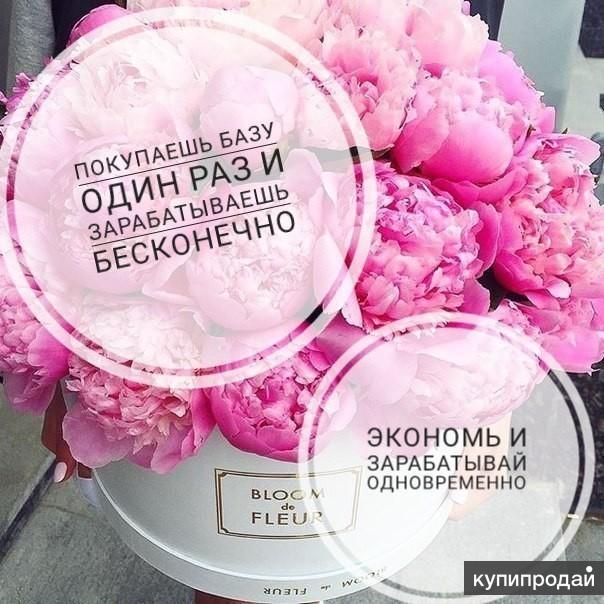 Беру Интернет Магазин Для Поставщиков