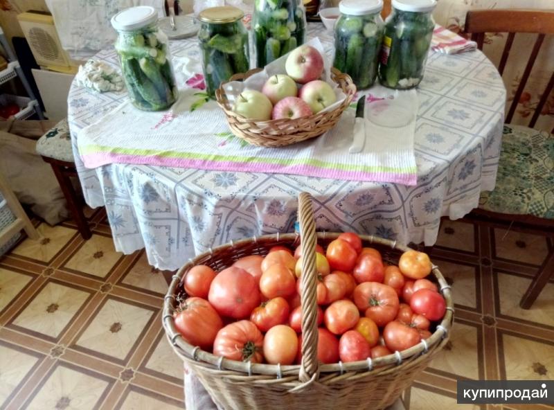 Купить Сад В Нововятском Районе