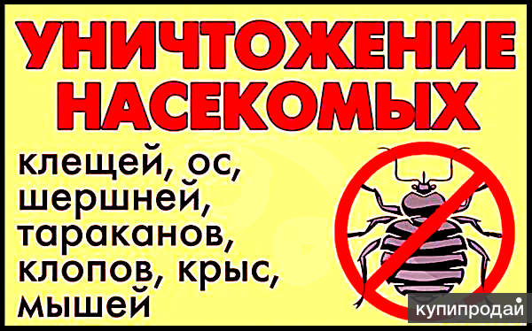 уничтожить клопы блохи муравьи тараканы мыши