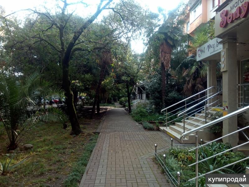 улица роз 37. ул роз 37 сочи на карте. ул роз 37 сочи ббр банк. роз 37 сочи фото. сочи улица роз 37.