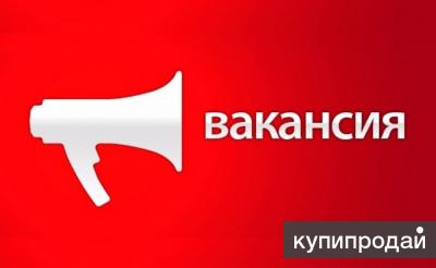 =Отделочник=