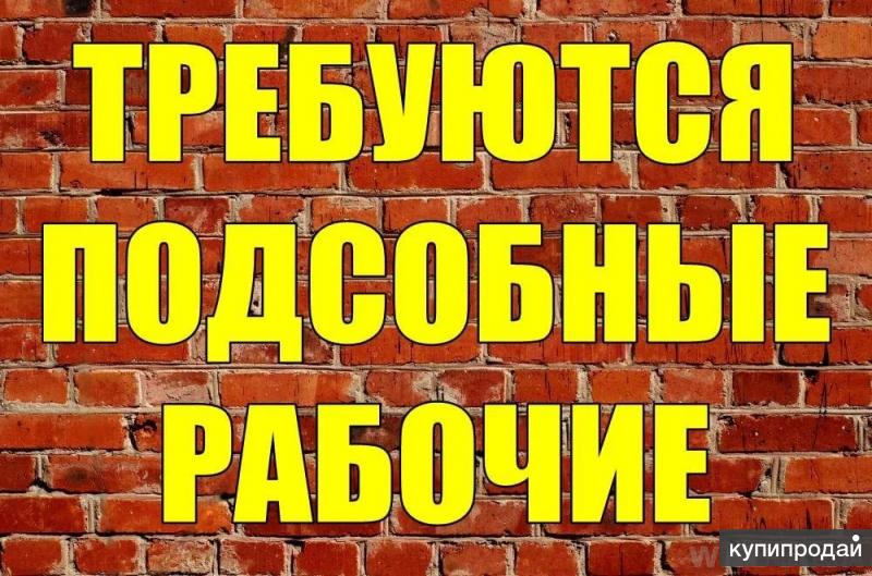 Требуются Разнорабочие