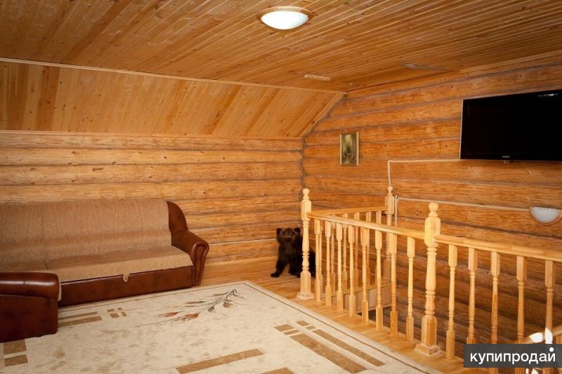 Кумыс зеленогорск 2024. Кумыс йошкар ола. Кумысная ферма йошкар-ола. Кумыс йошкар ола. Кумыс йошкар ола.