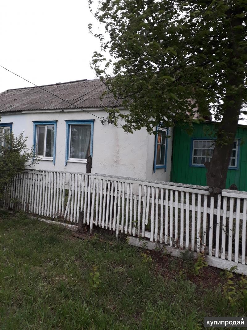 Купить Дом В Камень Рыболове