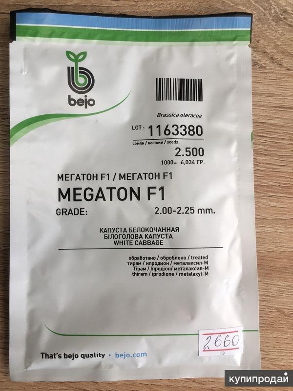 Купить Семена Капусты Мегатон Оптом