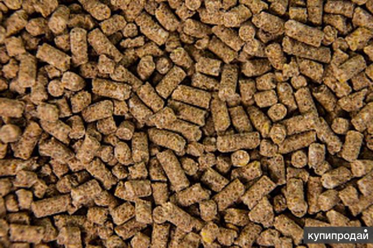 Шрот соевый гранулированный. Кукурузные гранулы. Шрот рапсовый тостированный. Шрот соевый тостированный. Шрот соевый тостированный.