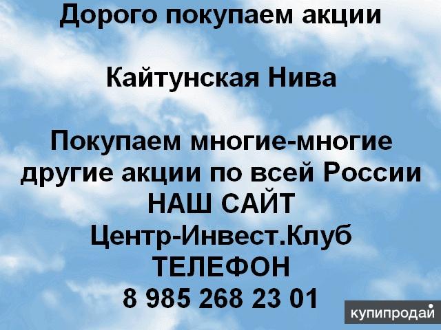 Покупаем акции Куйтунская Нива и любые другие акции по всей России