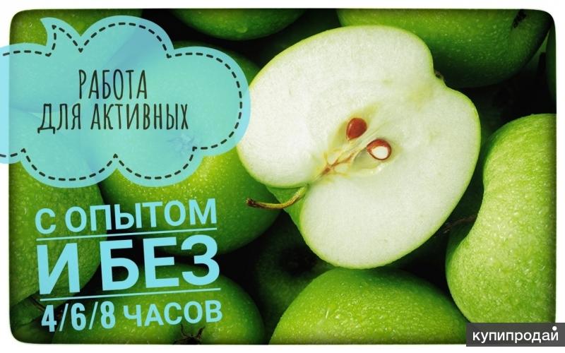 Администратор (можно без опыта)