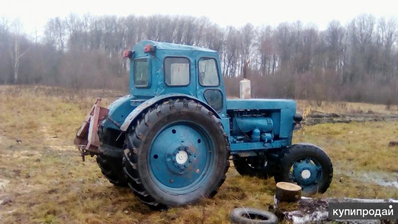 Новый трактор т 40 ам в алексеевке белгородской обл на авито фото