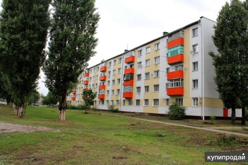 Белгородская область новый оскол квартиры