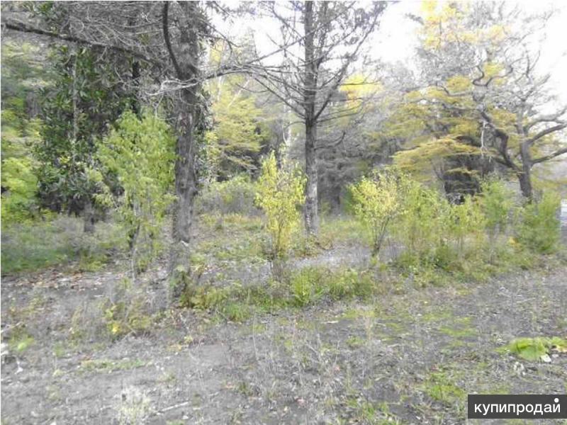 Купить Земельный Участок В Хадыженске Краснодарского