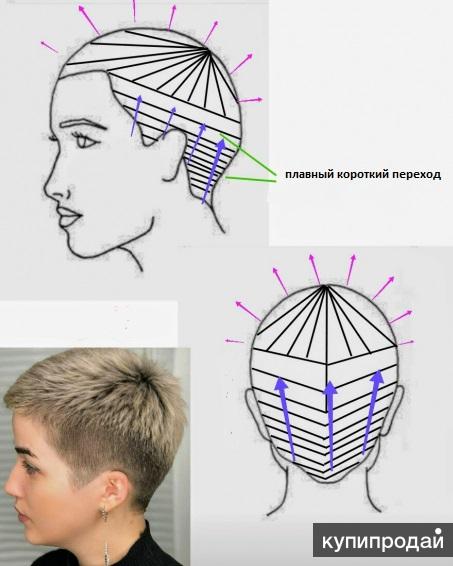 Как стричь короткую модельную женскую стрижку Линейка для парикмахера и колориста новая-трафарет в Спасе-Клепики