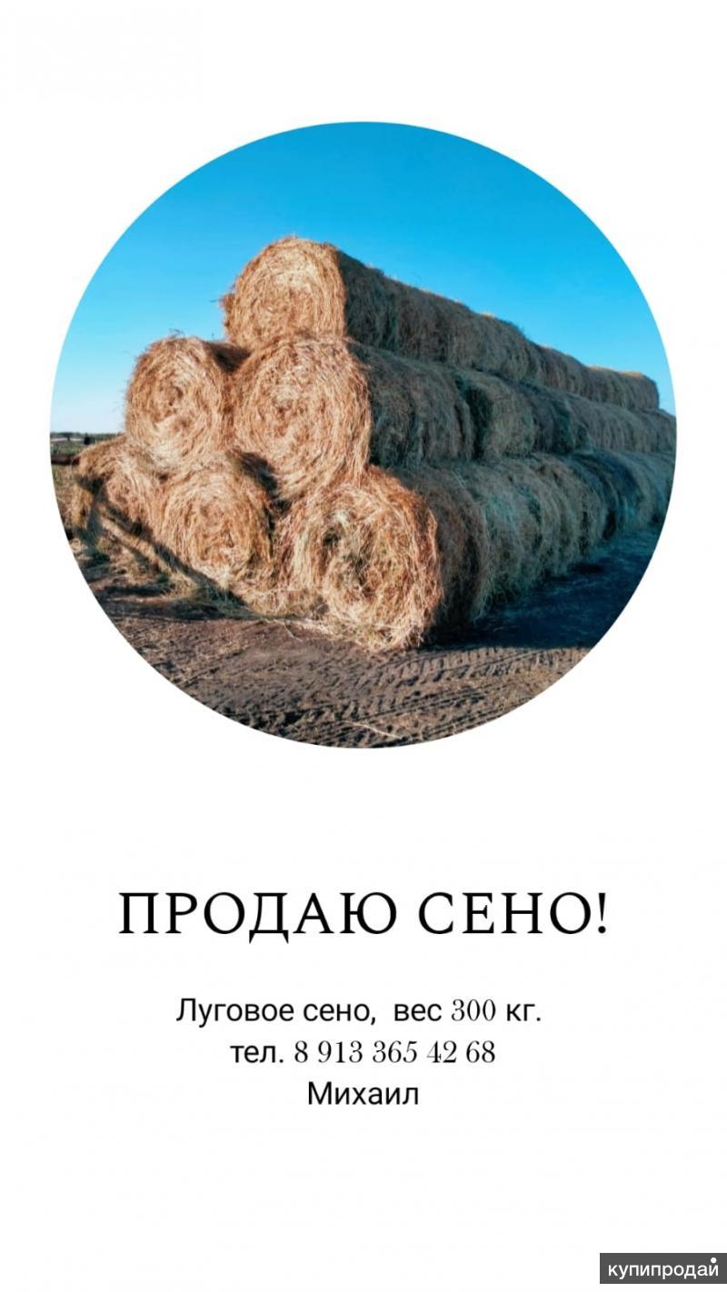 Продам сено в Барнауле