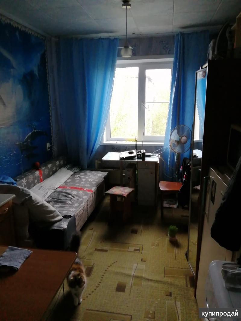 Комната в общежитии (66 фото)