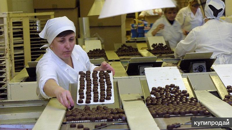 Шоколад производство Санкт Петербург