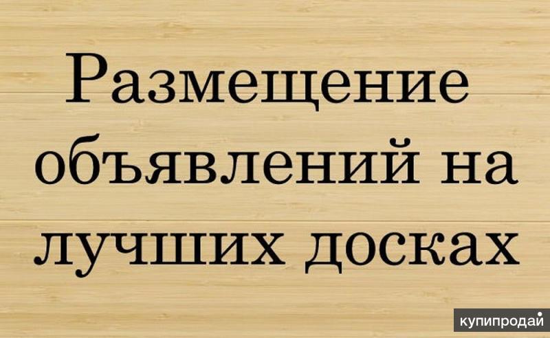 1665576638765.jpg
