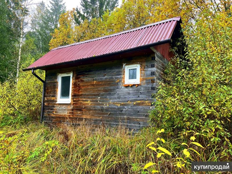 Купить Дачу В Самаре Снт Василек