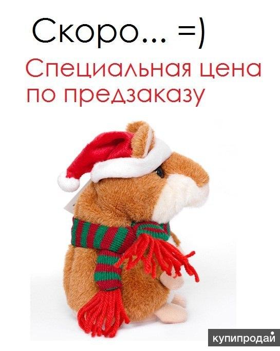 Никита Китайкин
