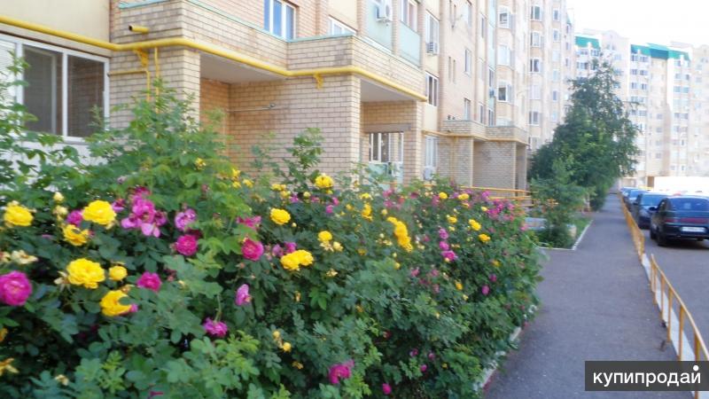 квартира от собственника