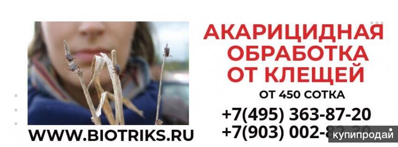 Акарицидная обработка. Акарицидная обработка объявление. Реклама акарицидной обработки. Аккарицидная или акарицидная обработка что это. Акарицидной обработки.