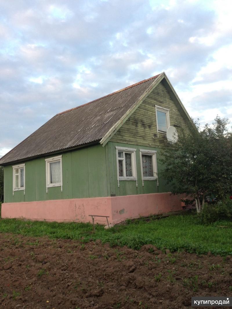 Домики под калугой. Износки Калужская область. Дома в Медыни.