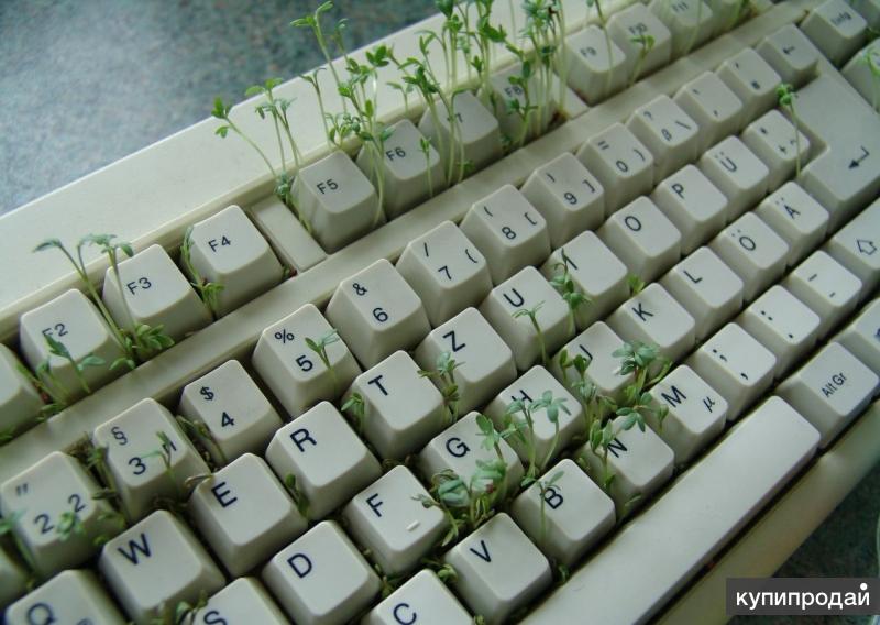 Компьютерная помощь