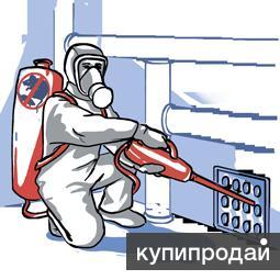 Уничтожение клопов, тараканов, др. насекомых