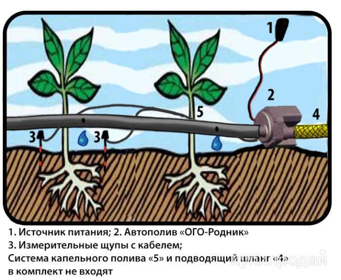 Купить Капельное Орошение В Краснодаре