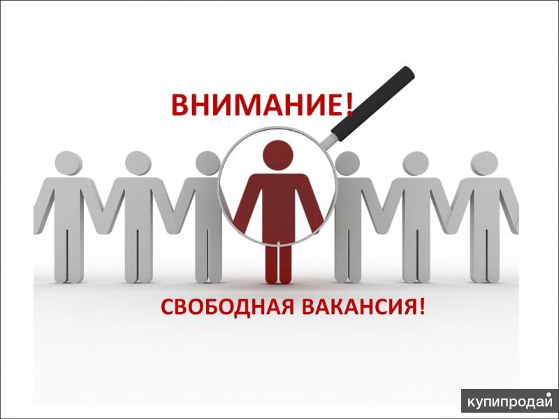 ФИНАНСОВЫЙ КОНСУЛЬТАНТ ФЕДЕРАЛЬНОЙ СЕТИ