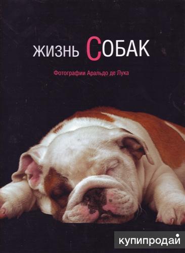 Жизнь собаки книга. Книга жизнь собаки. Книги про собак. Книги о собаках Художественные. Собачья жизнь книга.
