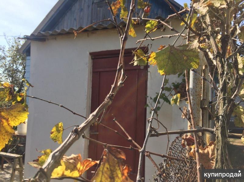 недвижимость в севастополе частный сектор северная сторона. ул. севастополь дачи. фиолент крым дом отдыха. снять дачу в севастополе.