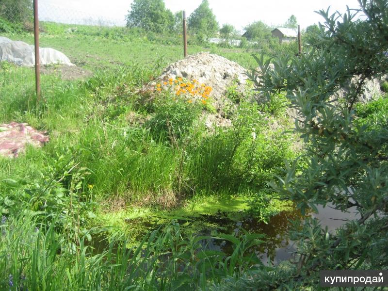 Купить Земельный Участок В Великих Луках