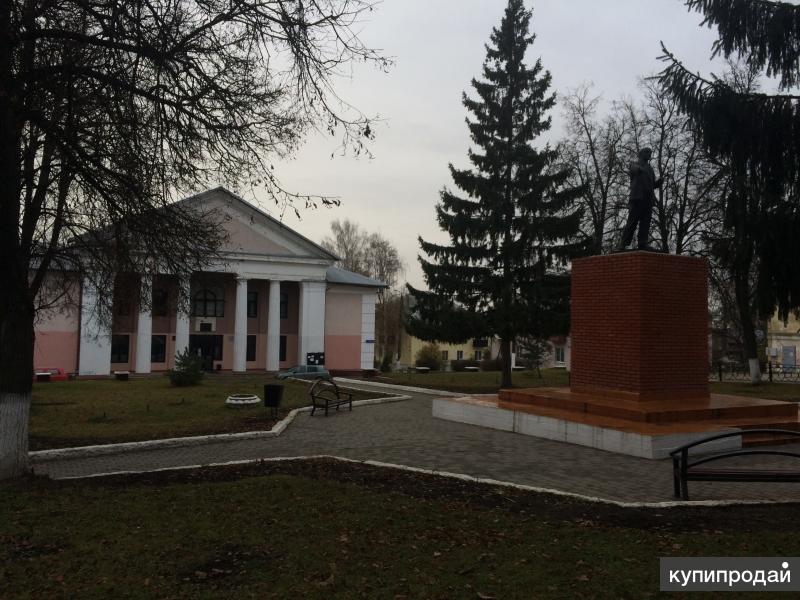 Поселок шатск тульская. Шатск Тульская область. Дом культуры поселок Шатск.