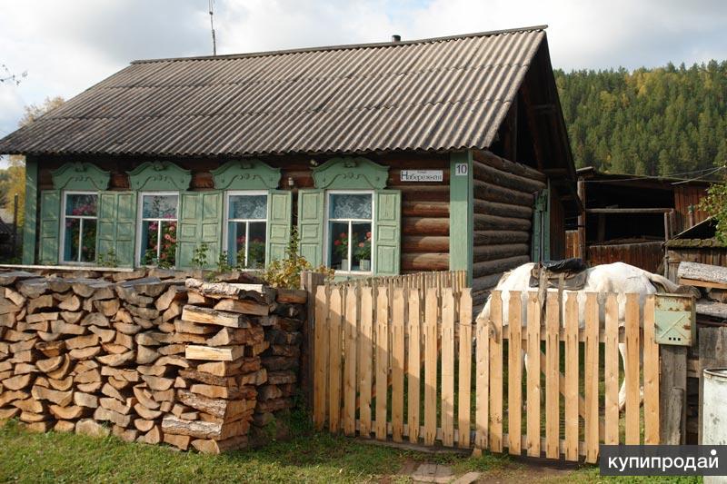 Дерево В Деревне Фото