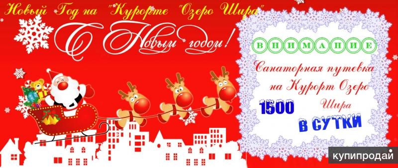 Новый год на "Курорте "Озеро Шира"!