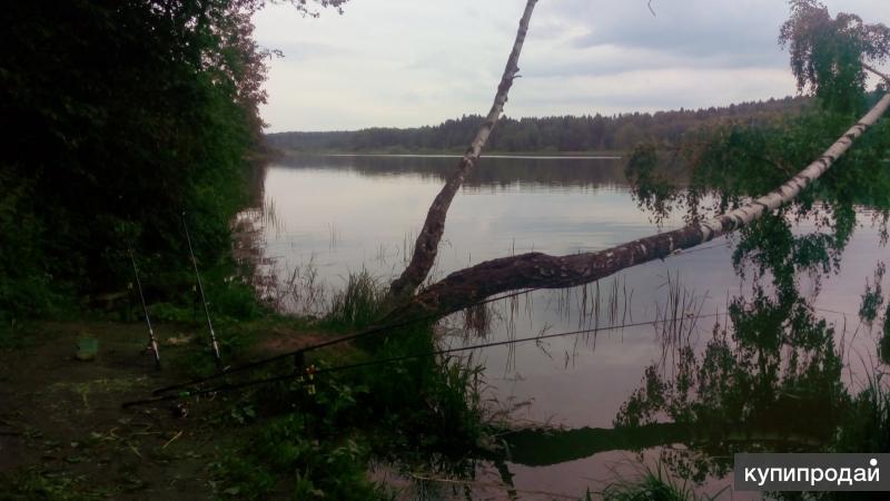 Рассвет Торбеево озеро