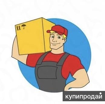 Грузчик в супермаркет