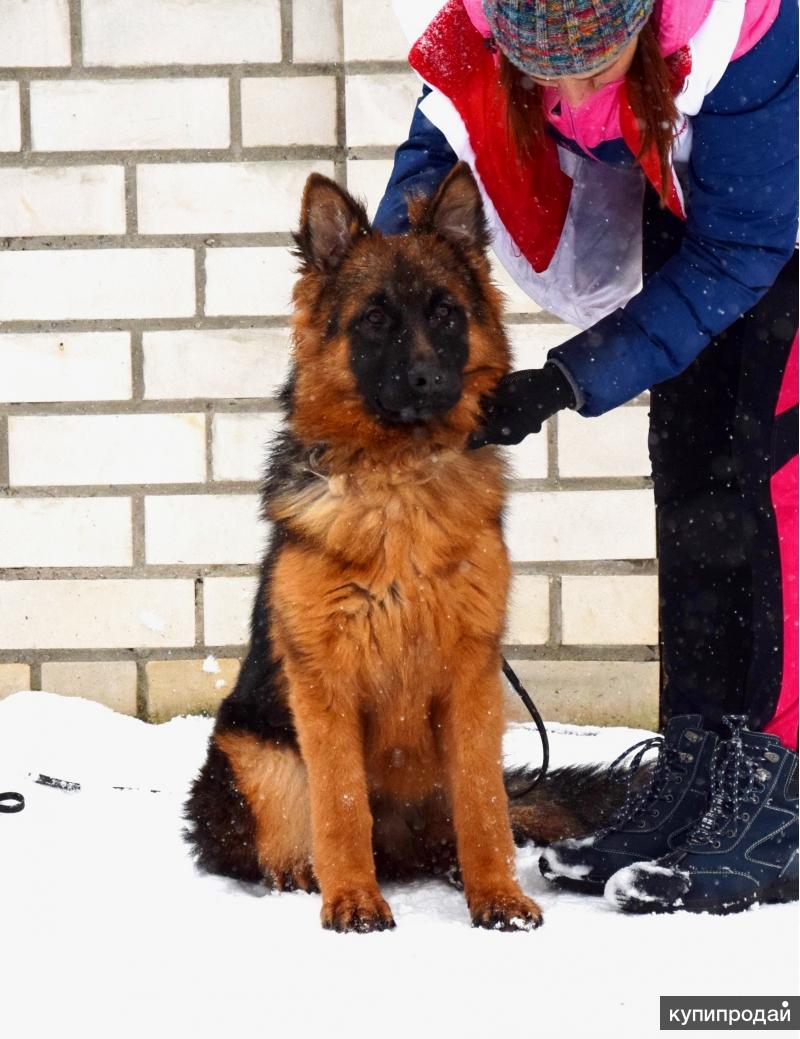Зильбер вассерфаль