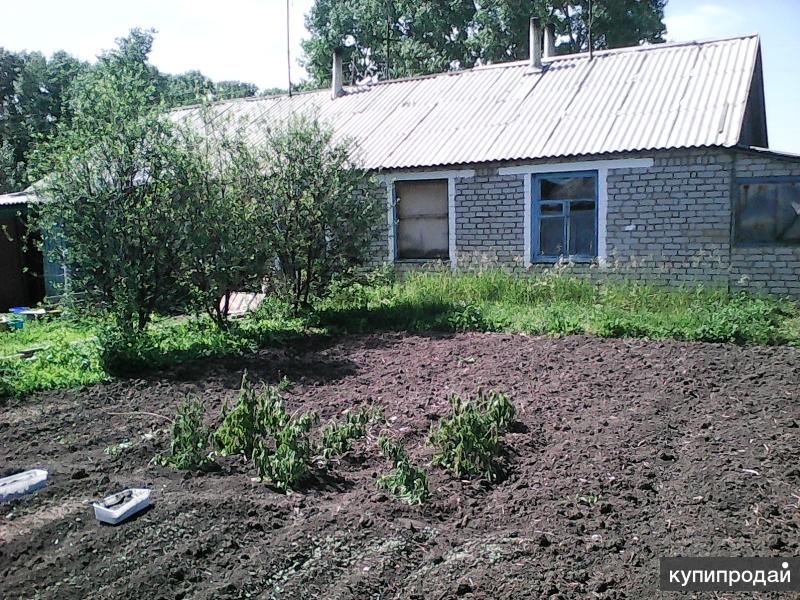 Погода совхозный балахна. Поселок Совхозный Алтайский край.