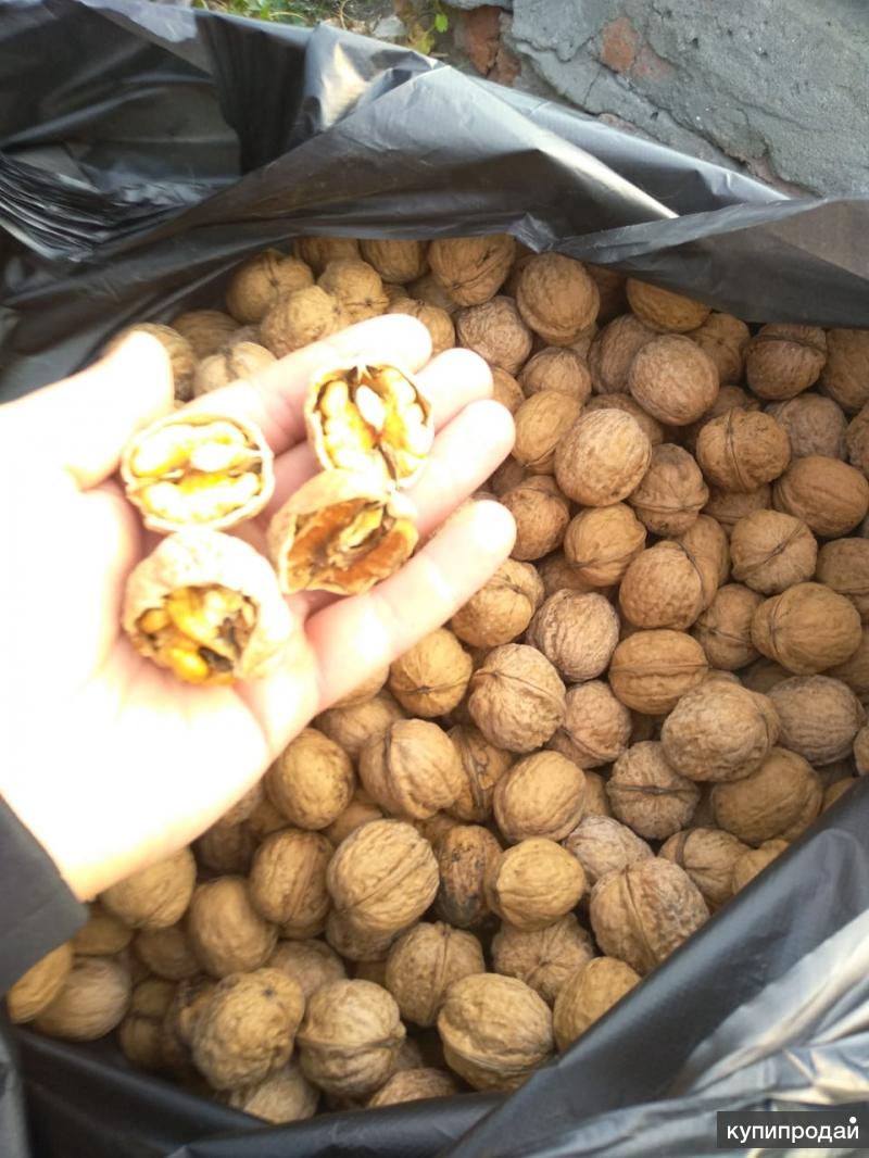 Купить орехи на авито