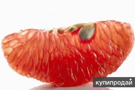 Масло Грейпфрутовой косточки