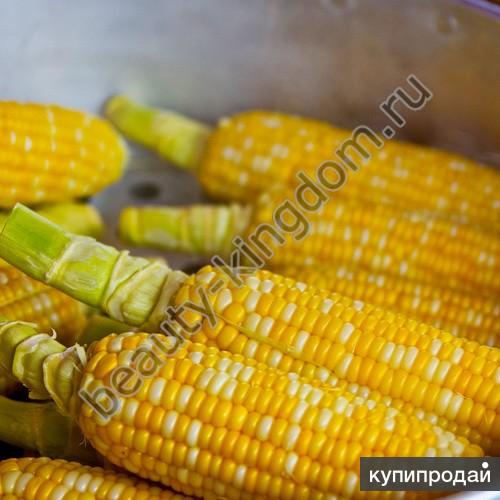 Масло Зародышей кукурузы (Botanika)