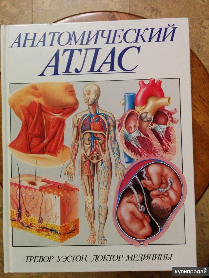 Анатомия книги атласы. Атлас анатомический Уэстон анатомический. Тревор Уэстон анатомический атлас. Книга Уэстона анатомический атлас. Медицинский атлас по анатомии.