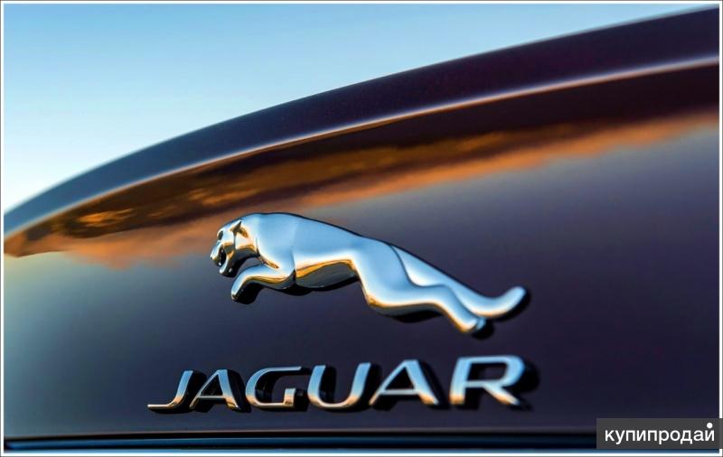 Ремонт электронных блоков управления Jaguar (Ягуар)